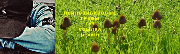 COCAINE Алексеевка