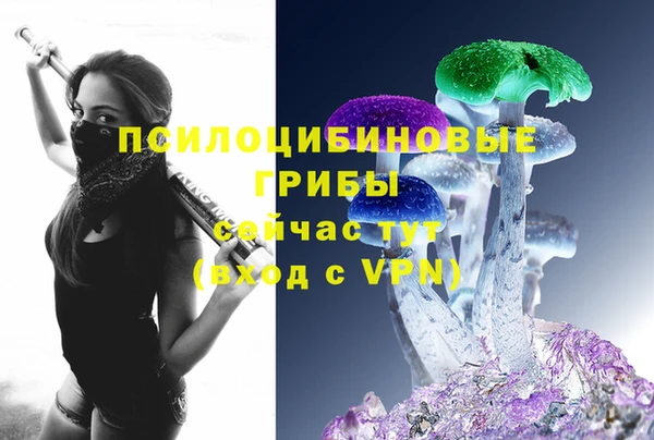 молекула духа Алексин