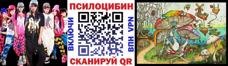закладки  Завитинск  Псилоцибиновые грибы мицелий 