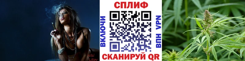 как найти закладки  MEGA как войти  Бошки марихуана планчик  Завитинск 